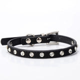 Small Dog Collar Crystal hot bling