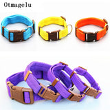 Dog Collar