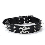 Punk Dog Collar