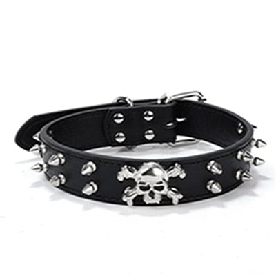 Punk Dog Collar