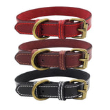 leather Dog CollarS