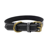 leather Dog CollarS