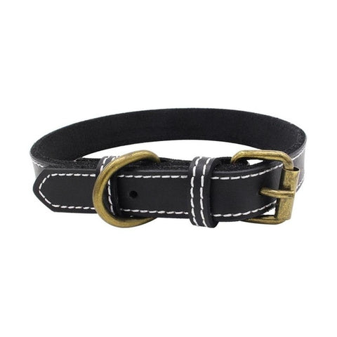 leather Dog CollarS