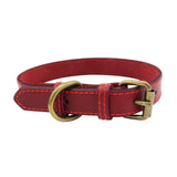 leather Dog CollarS