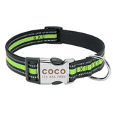 Personalized Dog Collar