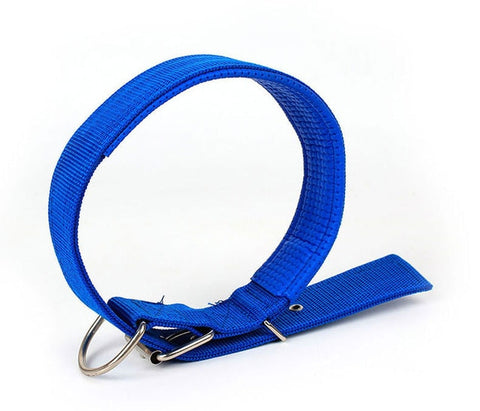 Strap Dog Collar