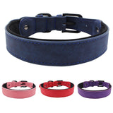 Dog Collars Leather