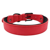 Dog Collars Leather