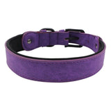 Dog Collars Leather