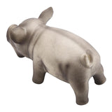 Dog Squeaker Chew Toy