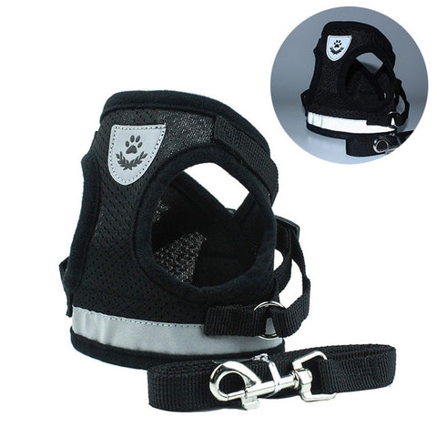 Dog Harness