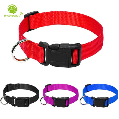 Nylon Webbing Dog Collar