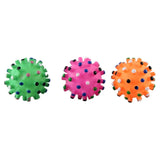 Durable Squeaky Ball Toy