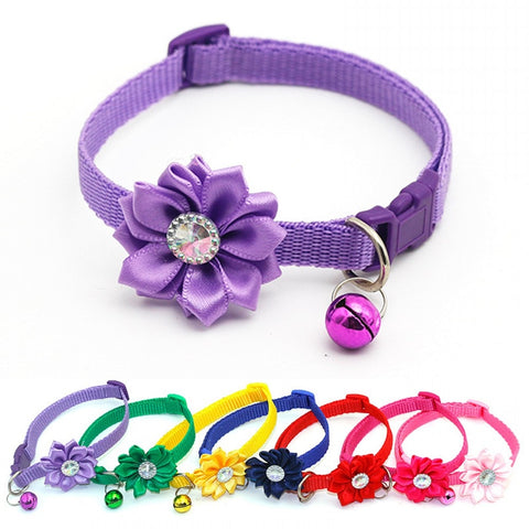 Cute Dog Collar