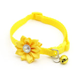 Cute Dog Collar