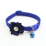Cute Dog Collar