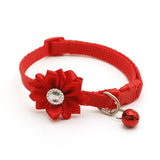 Cute Dog Collar