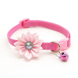 Cute Dog Collar