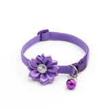 Cute Dog Collar