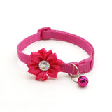 Cute Dog Collar