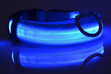 Nylon Dog Collar Safety LED
