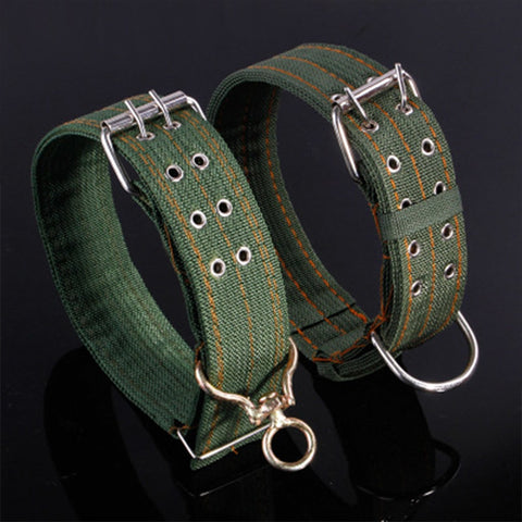 Dog Collar