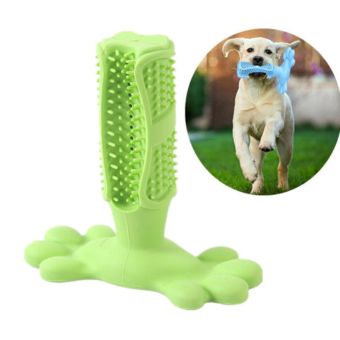 Dog Chewing Dental Toy