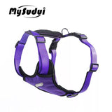 Dog Harness