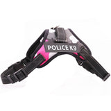 Professional Dog Harness