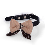 Spiked Dog Collar