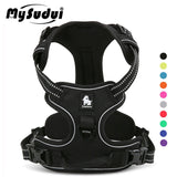 Dog Harness