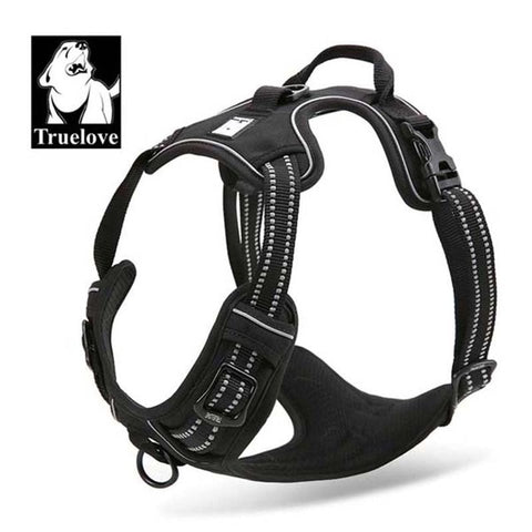 Dog Harness