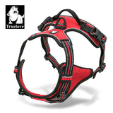 Dog Harness