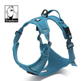 Dog Harness