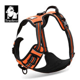 Dog Harness