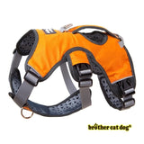 Dog Harness For Big Dogs