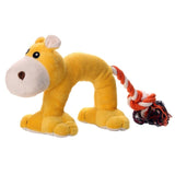 Dog Chew Toys
