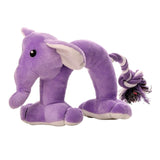 Dog Chew Toys