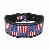 Soft Foam Padded Dog Collar