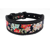 Soft Foam Padded Dog Collar