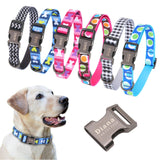 Dog Collar Nylon Dog Collar