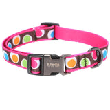 Dog Collar Nylon Dog Collar