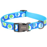 Dog Collar Nylon Dog Collar