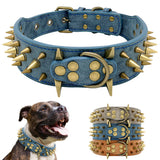 Dog Collar Spiked