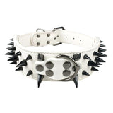Dog Collar Spiked