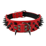 Dog Collar Spiked