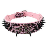 Dog Collar Spiked