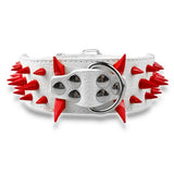 Dog Collar Spiked