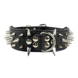 Dog Collar Spiked
