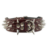 Dog Collar Spiked